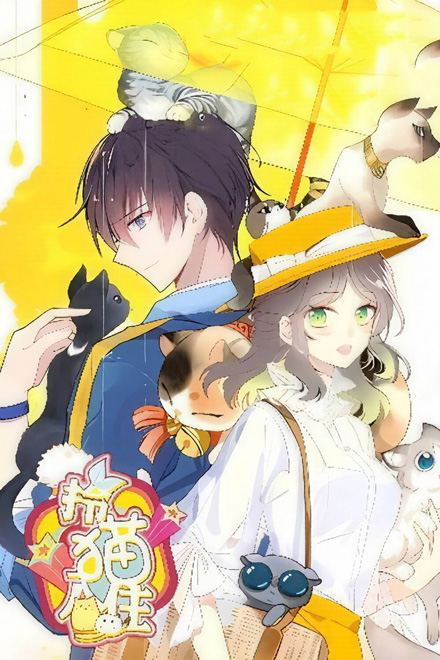 Xách Mèo Vào Ở đọc online